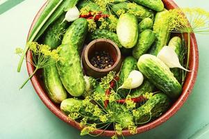 Homemade cucumber pickling and ingredients photo