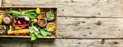 Healing herbs,roots and extracts in herbal medicine,copy space photo