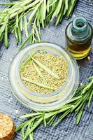 Rosemary in herbal medicine photo