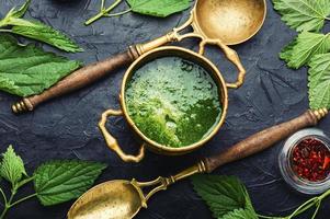 Rural lunch, nettle soup,top view photo