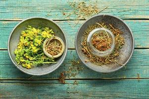 Hypericum in herbal medicine,wooden table photo