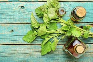 Glass bottle of nettle tincture photo