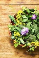 Natural medicine,fresh herbs on wooden table photo