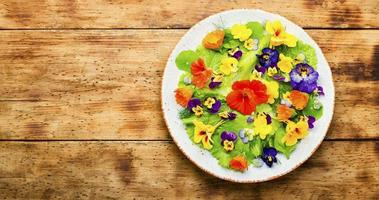 Edible flower salad in the plate,space for text photo