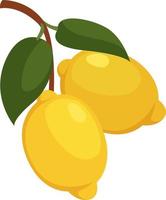 Sour lemons, illustration, vector on white background.