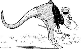 canguro o macropodidae, ilustración vintage vector