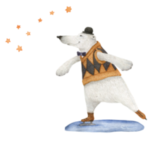 Eisbär Schlittschuhe unter dem Sternbild Ursa Minor png