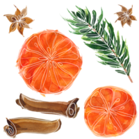 elementos de aquarela florais de natal e ano novo png