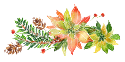 Christmas bouquet with poinsettia and ale branches png