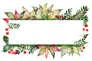 Christmas text space frame with watercolor poinsettia and ale png