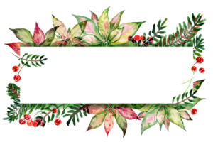 cadre d'espace de texte de noël avec poinsettia aquarelle et ale png