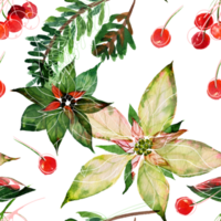 Poinsettia and fir-tree branches and red winter berries. Christmas seamless pattern. png