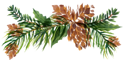 vignette florale de noël avec des cônes et des branches de sapin png