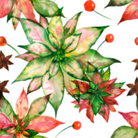 Christmas watercolor seamless pattern with poinsettia and red berry and anise star png