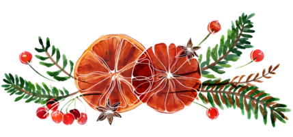 weihnachtsaquarellkomposition mit tannenbaum und orangen png
