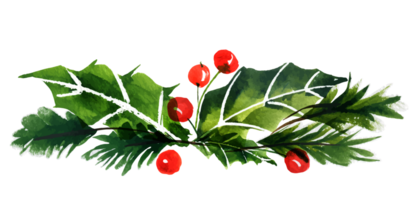 Bouquet of New year tree and holly png