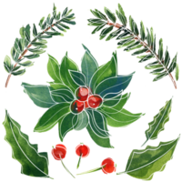 Christmas and New Year floral watercolor elements png