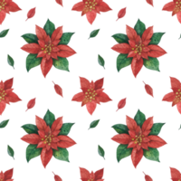 Christmas seamless pattern with poinsettia png