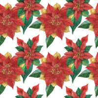 Natale senza soluzione di continuità modello con poinsettia png