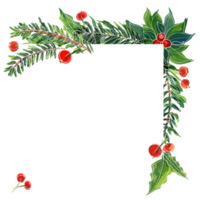 weihnachtsaquarellrahmen mit stechpalme und ale png