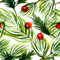 ramas de árboles de navidad y bayas de invierno. navidad floral acuarela de patrones sin fisuras png