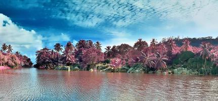 Beautiful purple and pink infrared panorama of a landscape on the Seychelles photo