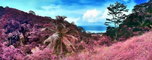 Beautiful purple and pink infrared panorama of a landscape on the Seychelles photo