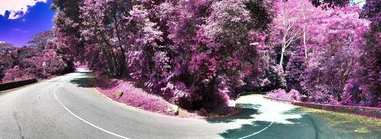 Beautiful purple and pink infrared panorama of a landscape on the Seychelles photo