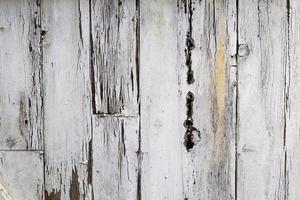 Detailed close up view on different wood surfaces showing wooden planks. photo