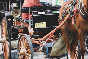 Yogyakarta, Indonesia on October 23, 2022. Andong or horse-drawn carriage with its parked on Jalan Malioboro, each carriage has its own yellow number plate. photo