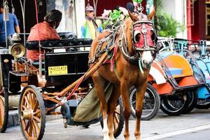 Yogyakarta, Indonesia on October 23, 2022. Andong or horse-drawn carriage with its coachman parked on Jalan Malioboro, waiting for passengers. photo