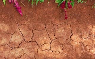 brown dry dirt background photo