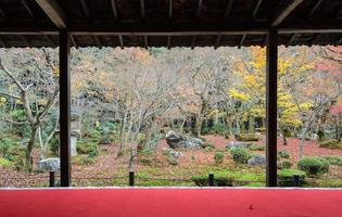 la hermosa vista del jardín de follaje de arce otoñal en el templo enkoji en kyoto, japón foto