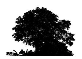 Tree silhouette for brush on white background photo