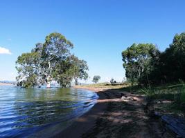 una ribera verde en el parque natural de la reserva de aguas de bowna en la playa del lago hume, albury, nueva gales del sur, australia. foto