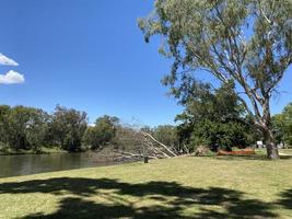 Noreuil Park Foreshore, park sits right on the Murray river in Albury Wodonga. photo
