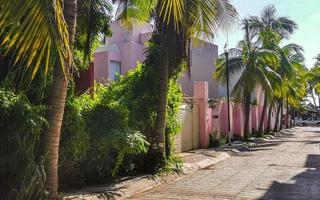 Scenic view tourist street palm city Zicatela Puerto Escondido Mexico. photo