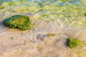 Stones rocks corals turquoise green blue water on beach Mexico. photo