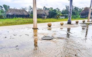 Hurricane 2021 Playa del Carmen Mexico destruction devastation broken trees. photo