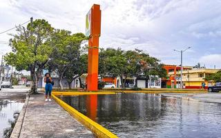 playa del carmen quintana roo mexico 2021 huracan 2021 playa del carmen mexico destruccion devastacion arboles rotos. foto