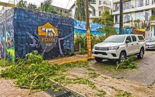 Playa del Carmen Quintana Roo Mexico 2021 Hurricane 2021 Playa del Carmen Mexico destruction devastation broken trees. photo