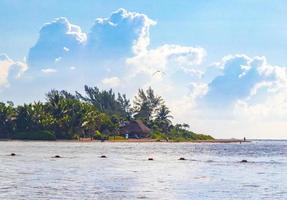 Tropical mexican beach clear turquoise water Playa del Carmen Mexico. photo