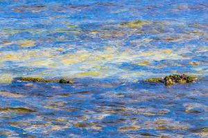 Stones rocks corals turquoise green blue water on beach Mexico. photo