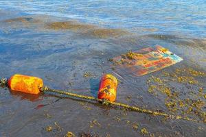 muy repugnante playa sargazo de algas rojas con contaminacion de basura mexico. foto