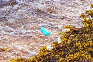 muy repugnante playa sargazo de algas rojas con contaminacion de basura mexico. foto