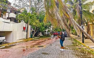 Playa del Carmen Quintana Roo Mexico 2021 Hurricane Playa del Carmen Mexico destruction devastation broken trees. photo