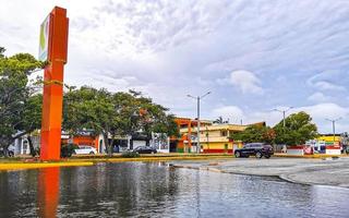 Playa del Carmen Quintana Roo Mexico 2021 Hurricane 2021 Playa del Carmen Mexico destruction devastation broken trees. photo