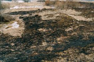 Burned Grass in the Field photo