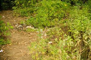 basura en la hierba foto