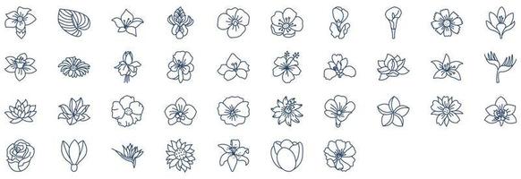 colección de íconos relacionados con las flores, incluidos íconos como iris, amapola, campanilla blanca, rosa y más. ilustraciones vectoriales, conjunto perfecto de píxeles vector